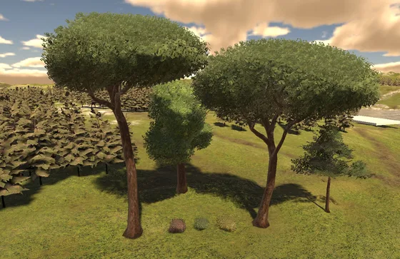 Stone pines on a grassy slope.